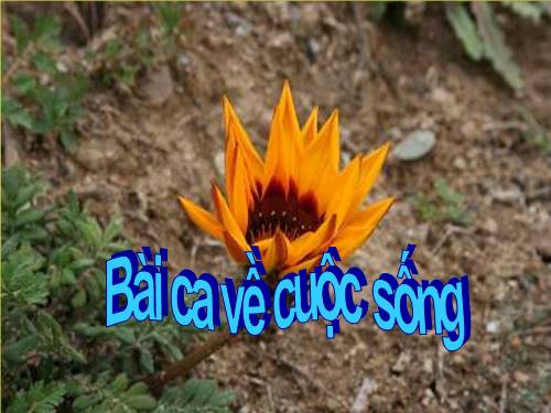 Bai ca ve cuoc song