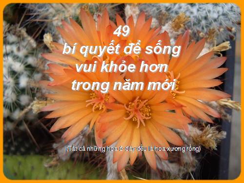 Bí quyết sống khoẻ