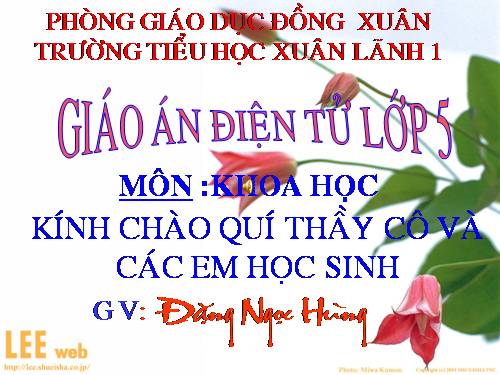 Bài 40. Năng lượng