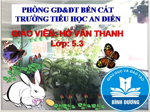 Bài 14. Phòng bệnh viêm não