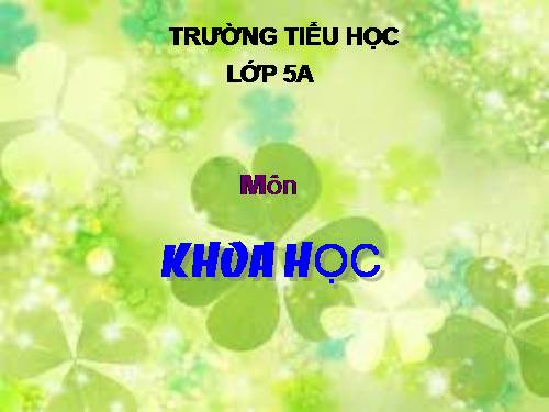 Bài 6. Từ lúc mới sinh đến tuổi dậy thì