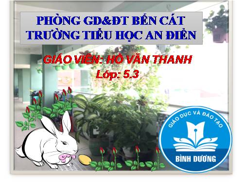 Bài 9-10. Thực hành: Nói "Không!" đối với các chất gây nghiện