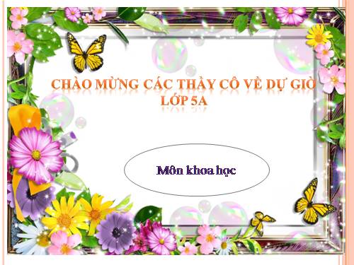 Bài 57. Sự sinh sản của ếch