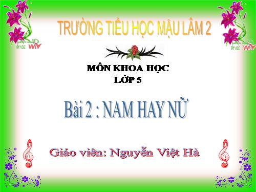 Bài 2-3. Nam hay nữ?