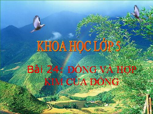 Bài 24. Đồng và hợp kim của đồng