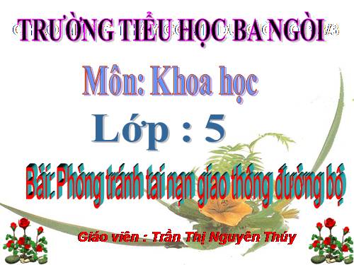 Bài 19. Phòng tránh tai nạn giao thông đường bộ