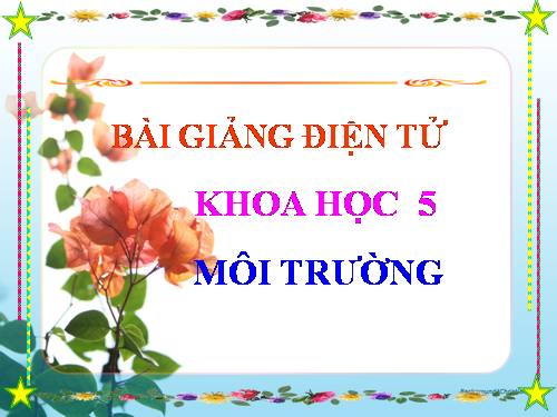 Bài 62. Môi trường