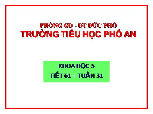 Bài 61. Ôn tập: Thực vật và động vật