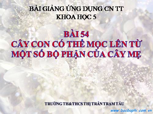 Bài 54. Cây con có thể mọc lên từ một số bộ phận của cây mẹ