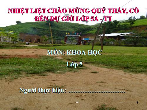 Bài 13. Phòng bệnh sốt xuất huyết