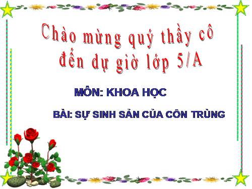 Bài 56. Sự sinh sản của côn trùng