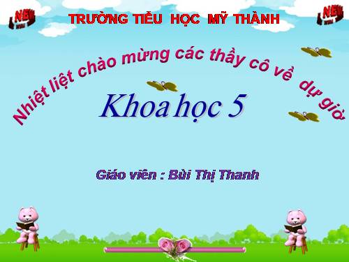 Bài 51. Cơ quan sinh sản của thực vật có hoa