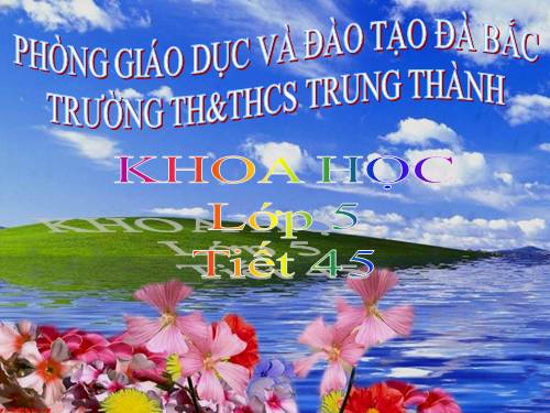 Bài 45. Sử dụng năng lượng điện