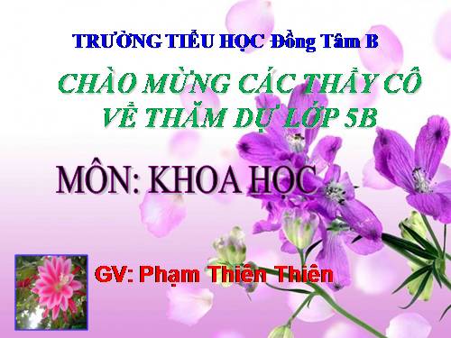 Bài 44. Sử dụng năng lượng gió và năng lượng nước chảy