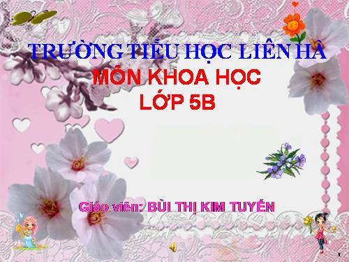 Bài 14. Phòng bệnh viêm não