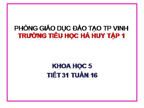 Bài 31. Chất dẻo