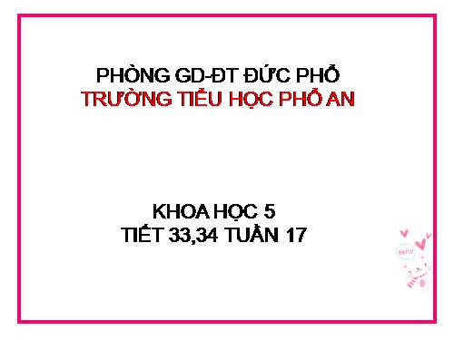 Bài 33-34. Ôn tập và Kiểm tra học kì I