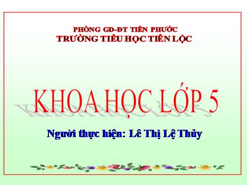 Bài 19. Phòng tránh tai nạn giao thông đường bộ