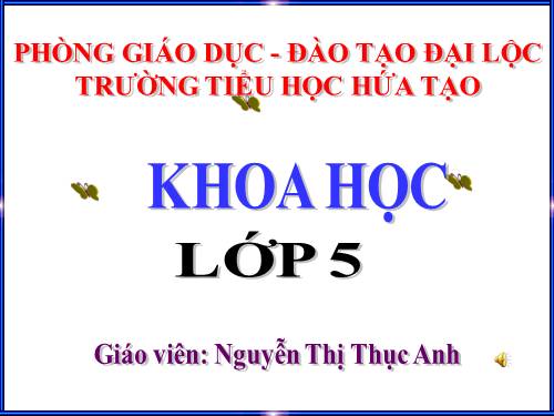 Bài 36. Hỗn hợp