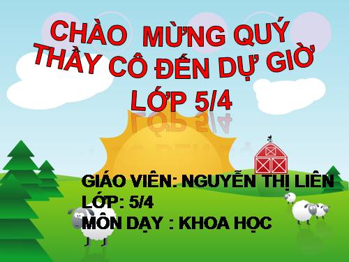 Bài 14. Phòng bệnh viêm não