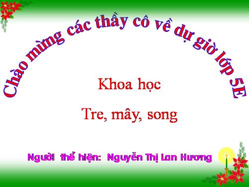 Bài 22. Tre, mây, song