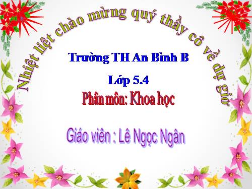 Bài 16. Phòng tránh HIV / AIDS