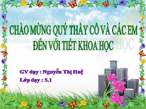 Bài 15. Phòng bệnh viêm gan A