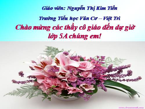 Bài 19. Phòng tránh tai nạn giao thông đường bộ