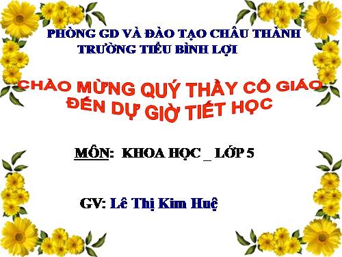 Bài 16. Phòng tránh HIV / AIDS