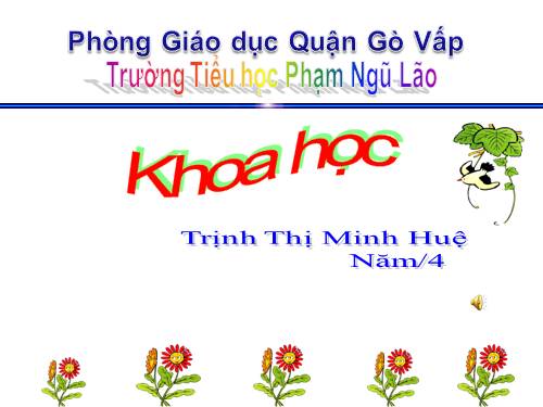 Bài 11. Dùng thuốc an toàn