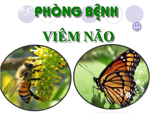 Bài 14. Phòng bệnh viêm não