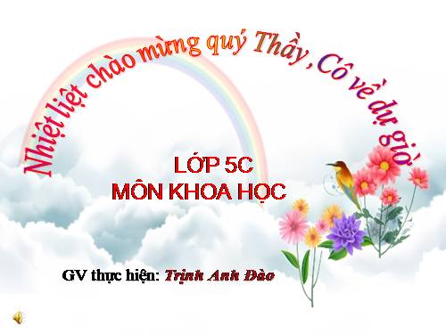 Bài 12. Phòng bệnh sốt rét