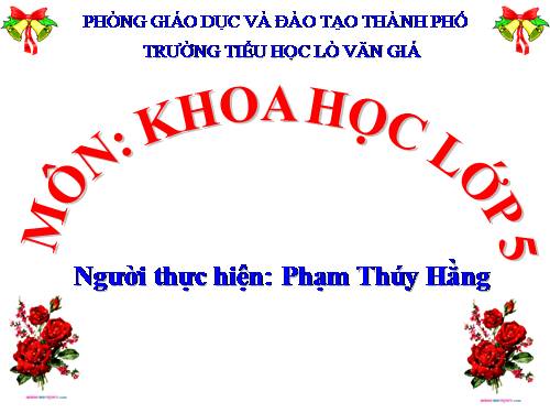 Bài 13. Phòng bệnh sốt xuất huyết