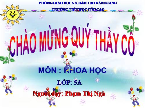 Bài 15. Phòng bệnh viêm gan A