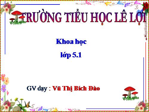 Bài 8. Vệ sinh ở tuổi dậy thì