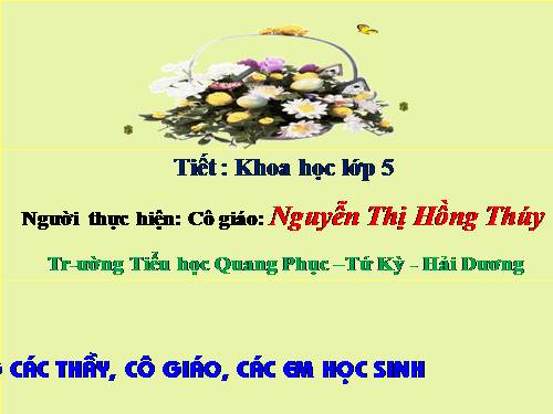 Bài 54. Cây con có thể mọc lên từ một số bộ phận của cây mẹ