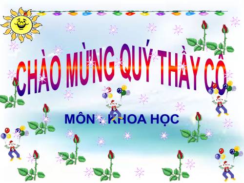 Bài 15. Phòng bệnh viêm gan A