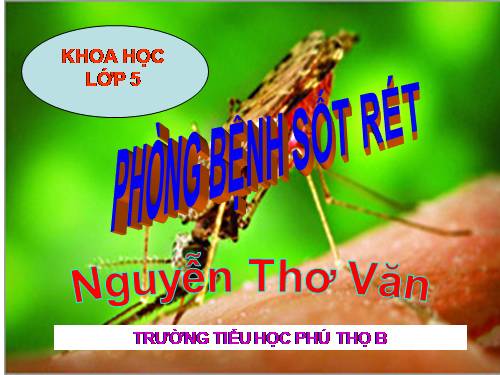 Bài 12. Phòng bệnh sốt rét