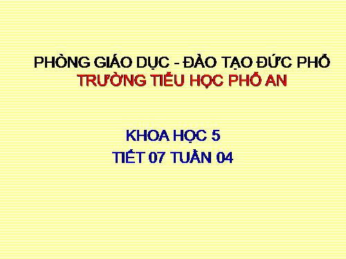 Bài 8. Vệ sinh ở tuổi dậy thì