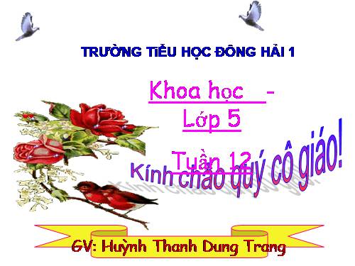 Bài 24. Đồng và hợp kim của đồng