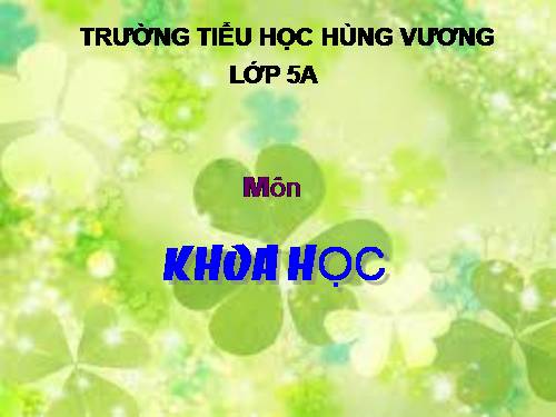 Bài 6. Từ lúc mới sinh đến tuổi dậy thì