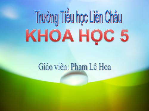 Bài 4. Cơ thể chúng ta được hình thành như thế nào?