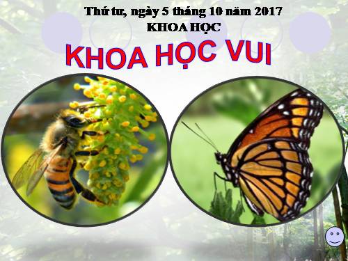 Bài 14. Phòng bệnh viêm não