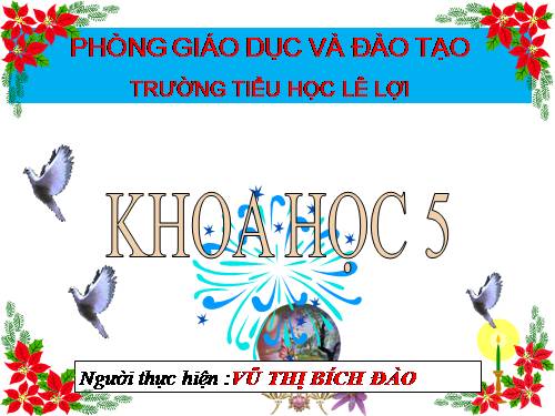 Bài 12. Phòng bệnh sốt rét