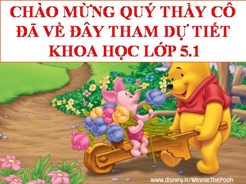 Bài 11. Dùng thuốc an toàn