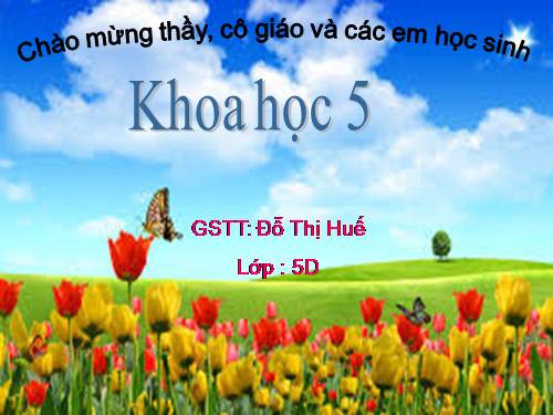 Bài 51. Cơ quan sinh sản của thực vật có hoa