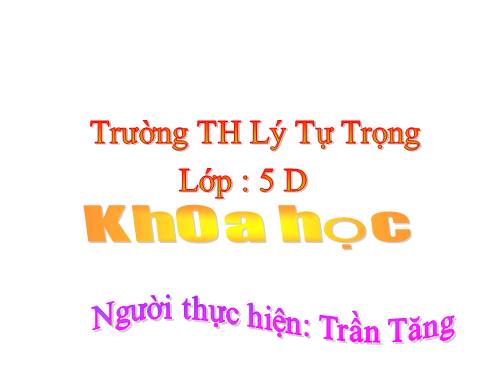 phong chong bom min