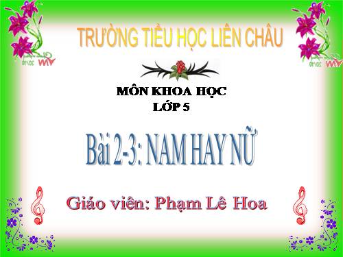 Bài 2-3. Nam hay nữ?