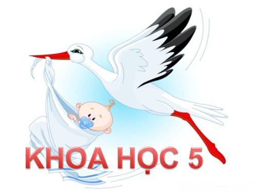 Bài 4. Cơ thể chúng ta được hình thành như thế nào?