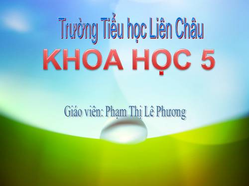 Bài 4. Cơ thể chúng ta được hình thành như thế nào?